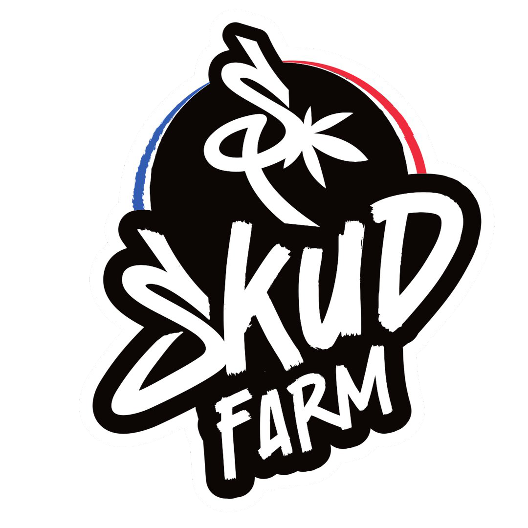Logo 2