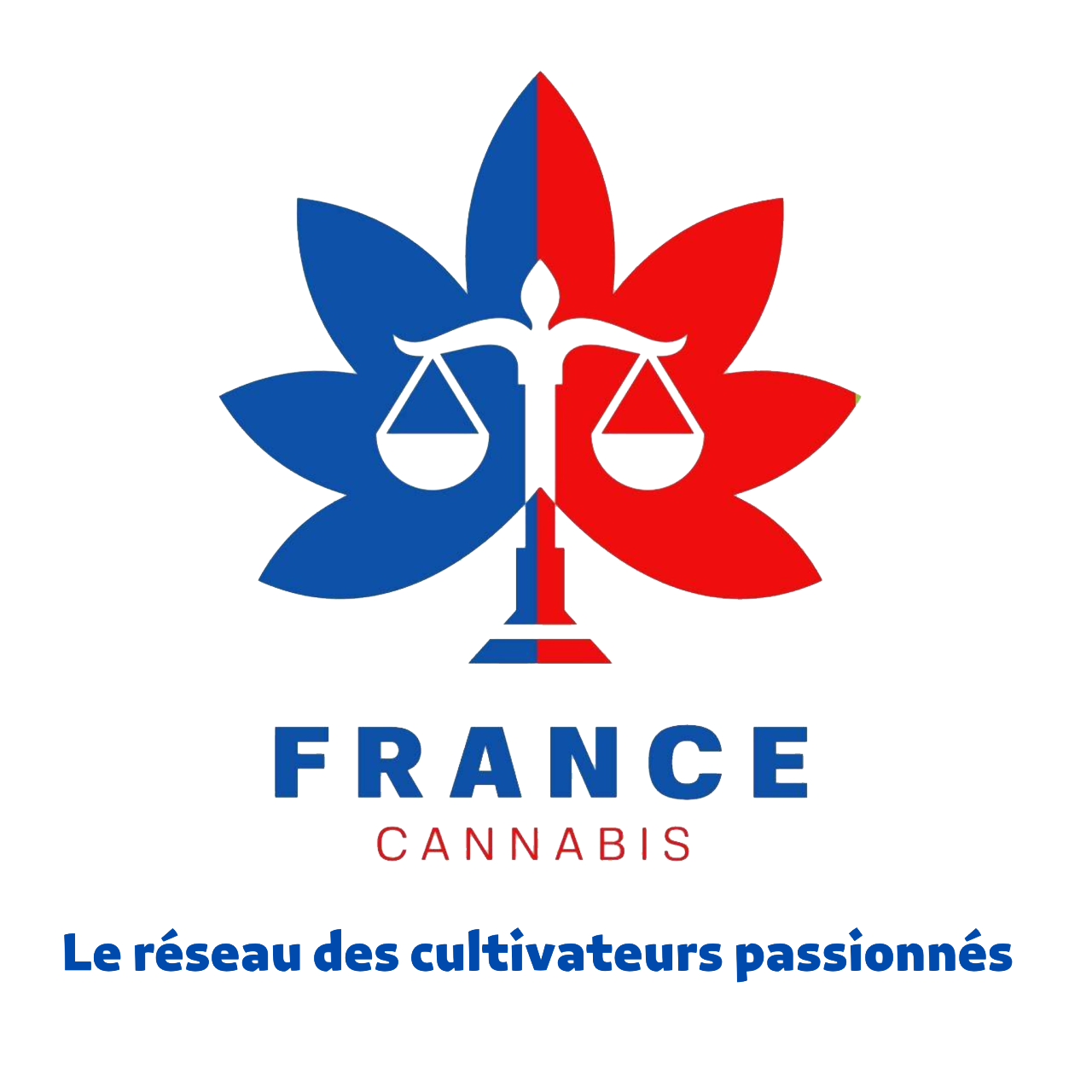 Logo 4