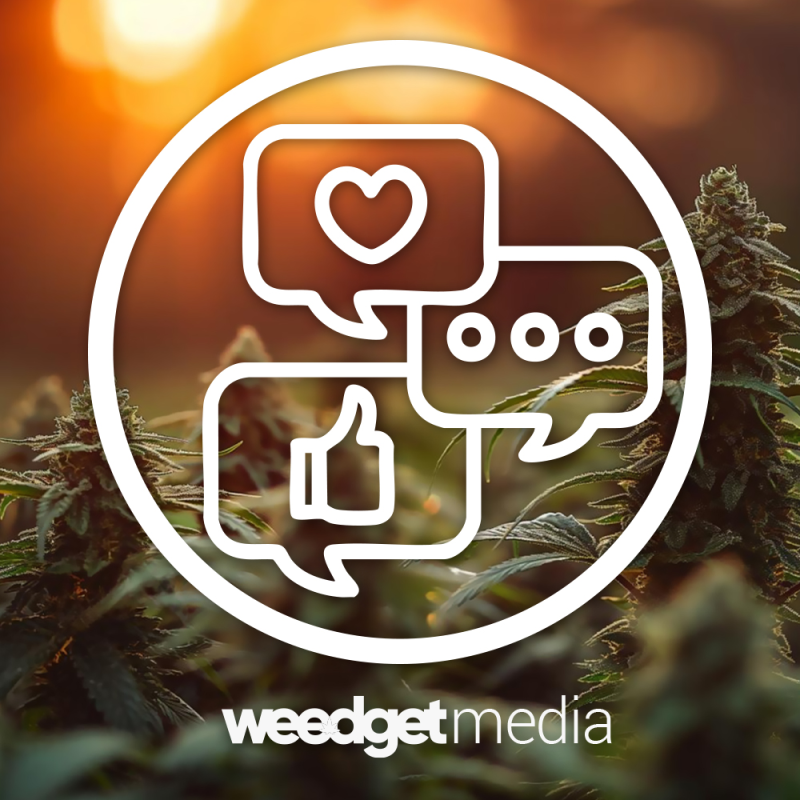 Weedget (image 4)