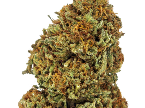Garnet kush
