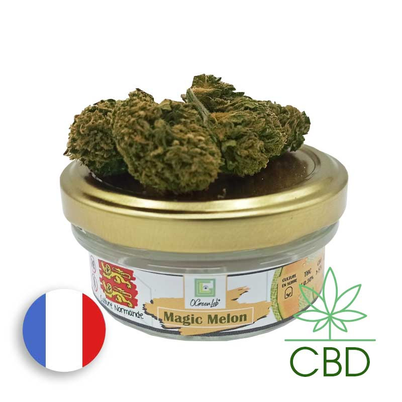 Magic Melon