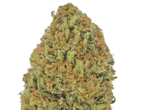 Zombie kush